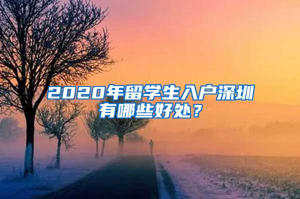 2020年留学生入户深圳有哪些好处？