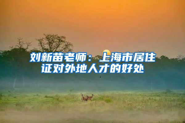刘新苗老师：上海市居住证对外地人才的好处
