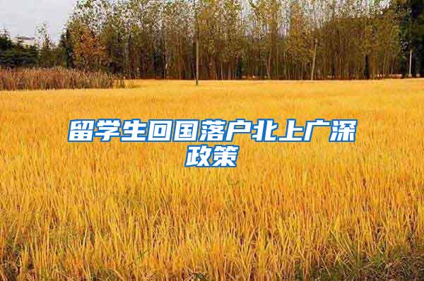 留学生回国落户北上广深政策