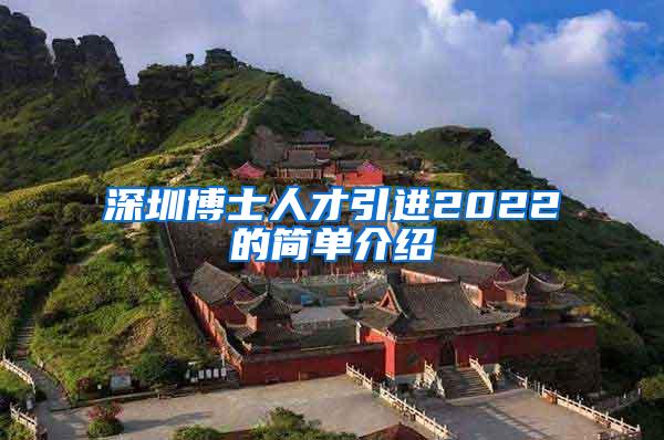 深圳博士人才引进2022的简单介绍