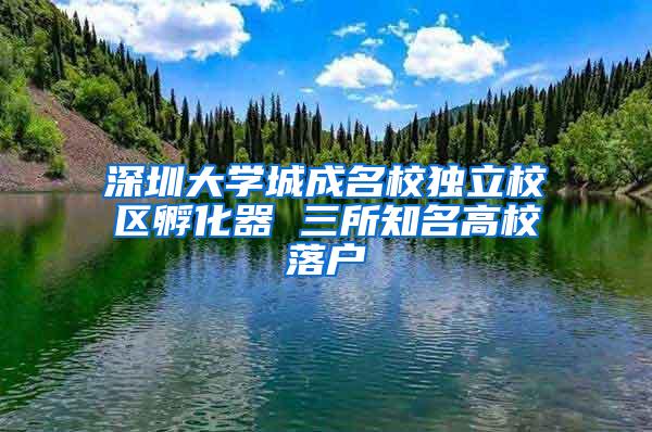 深圳大学城成名校独立校区孵化器 三所知名高校落户