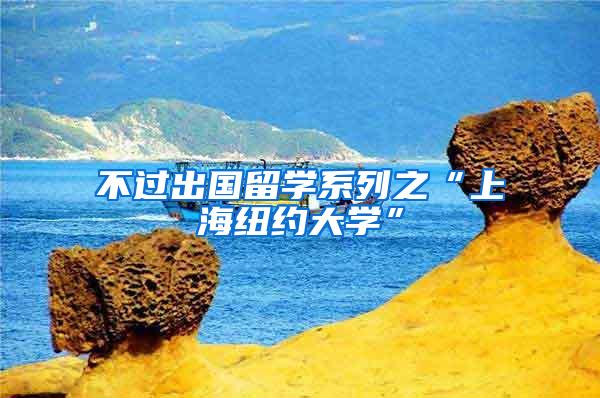 不过出国留学系列之“上海纽约大学”