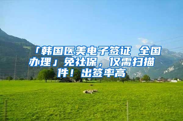 「韩国医美电子签证 全国办理」免社保，仅需扫描件！出签率高