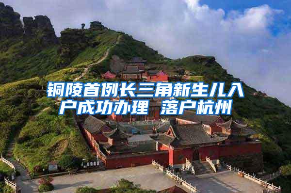 铜陵首例长三角新生儿入户成功办理 落户杭州