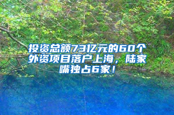 投资总额73亿元的60个外资项目落户上海，陆家嘴独占6家！