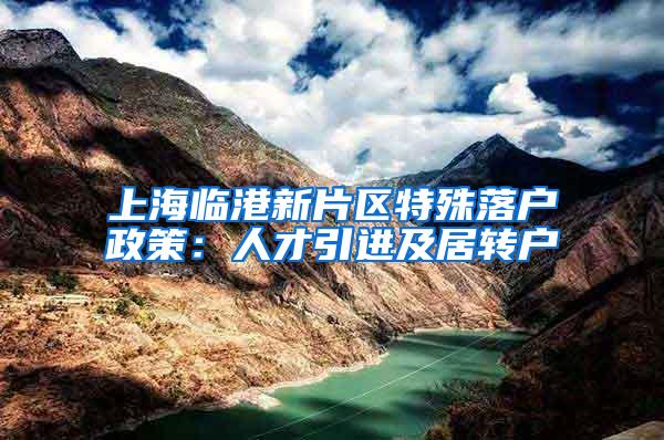 上海临港新片区特殊落户政策：人才引进及居转户