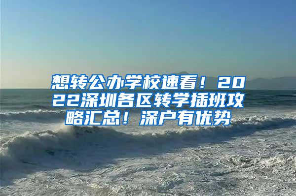 想转公办学校速看！2022深圳各区转学插班攻略汇总！深户有优势