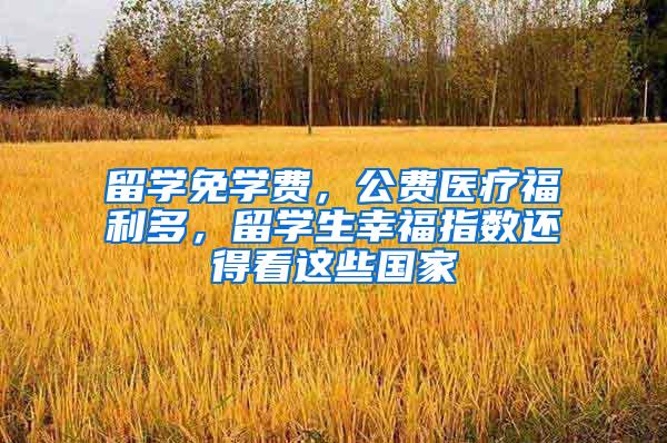 留学免学费，公费医疗福利多，留学生幸福指数还得看这些国家