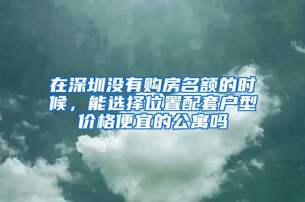 在深圳没有购房名额的时候，能选择位置配套户型价格便宜的公寓吗