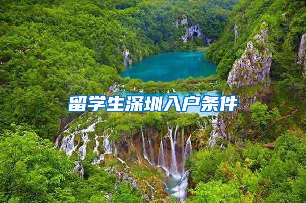 留学生深圳入户条件