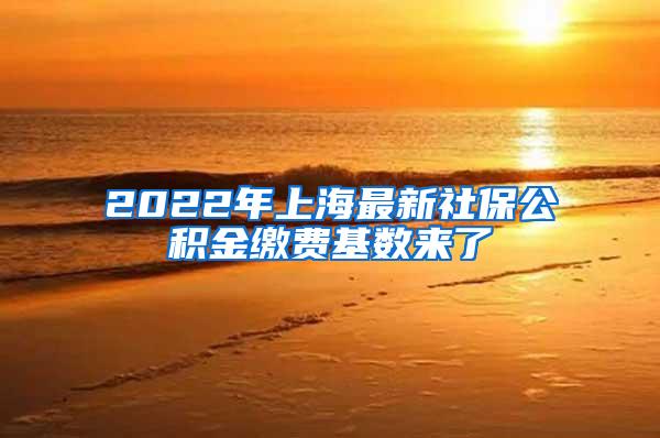 2022年上海最新社保公积金缴费基数来了