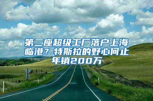 第二座超级工厂落户上海临港？特斯拉的野心何止年销200万