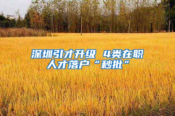 深圳引才升级 4类在职人才落户“秒批”