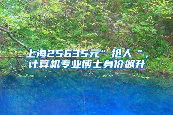 上海25635元”抢人“，计算机专业博士身价飙升