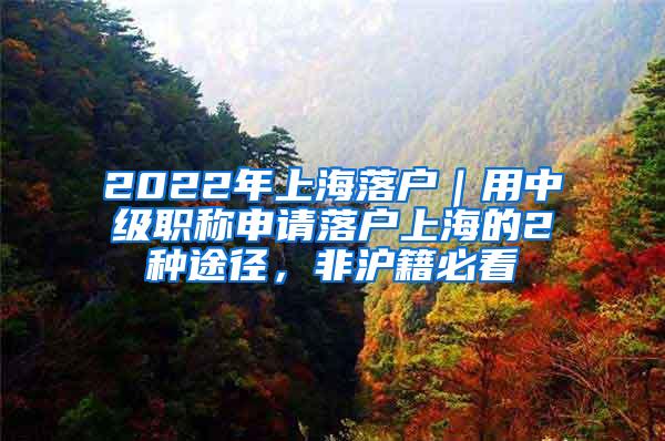 2022年上海落户｜用中级职称申请落户上海的2种途径，非沪籍必看