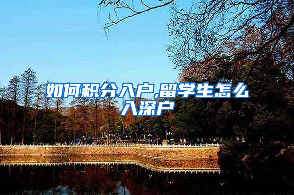 如何积分入户,留学生怎么入深户