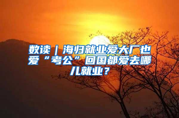 数读｜海归就业爱大厂也爱“考公”回国都爱去哪儿就业？