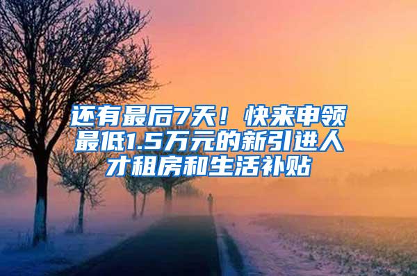 还有最后7天！快来申领最低1.5万元的新引进人才租房和生活补贴