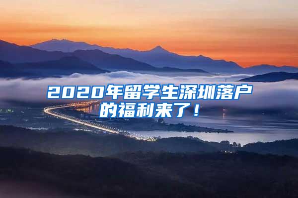 2020年留学生深圳落户的福利来了！