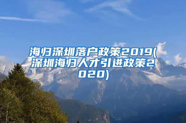 海归深圳落户政策2019(深圳海归人才引进政策2020)