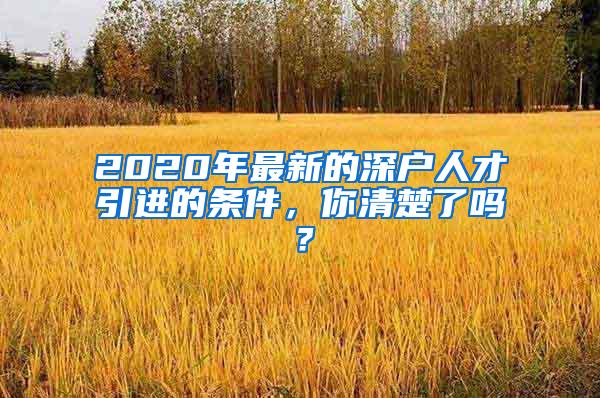 2020年最新的深户人才引进的条件，你清楚了吗？