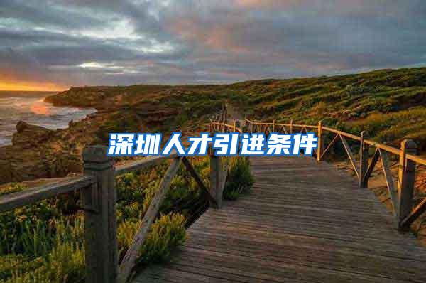 深圳人才引进条件