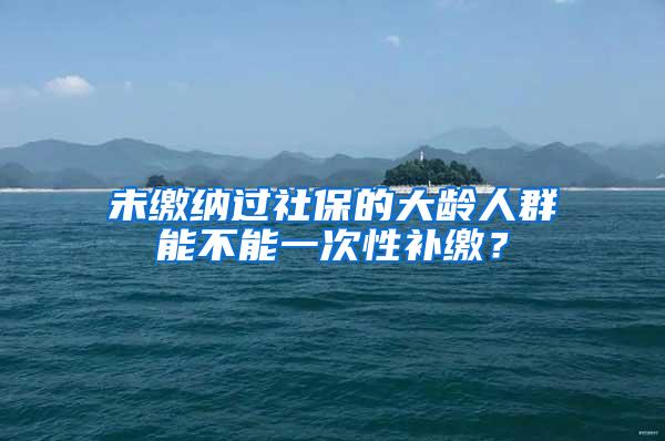 未缴纳过社保的大龄人群能不能一次性补缴？