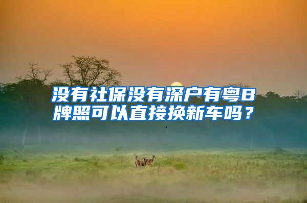 没有社保没有深户有粤B牌照可以直接换新车吗？