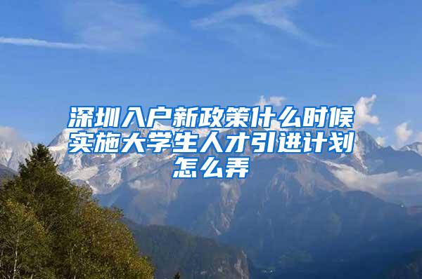 深圳入户新政策什么时候实施大学生人才引进计划怎么弄