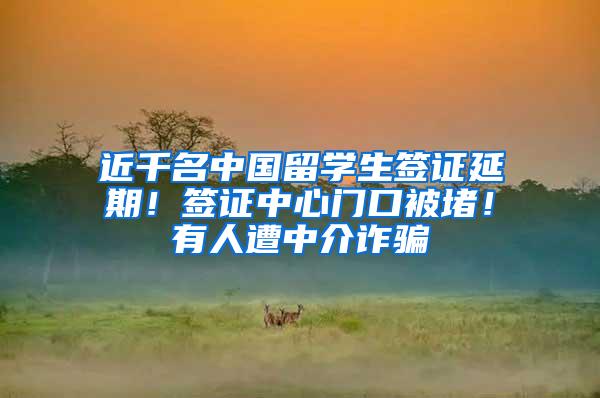 近千名中国留学生签证延期！签证中心门口被堵！有人遭中介诈骗