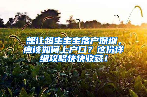想让超生宝宝落户深圳，应该如何上户口？这份详细攻略快快收藏！