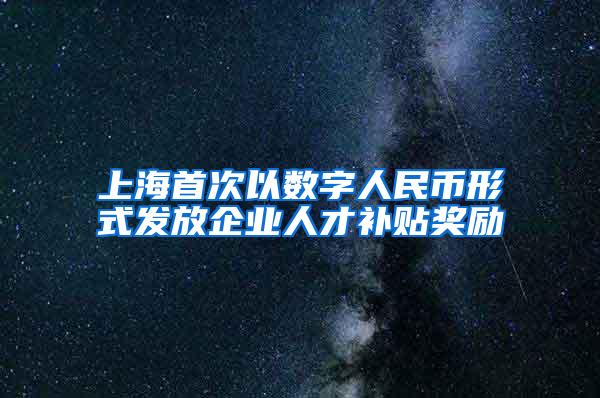 上海首次以数字人民币形式发放企业人才补贴奖励