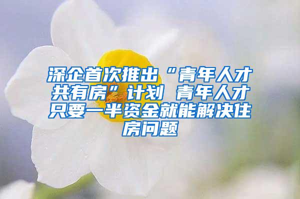深企首次推出“青年人才共有房”计划 青年人才只要一半资金就能解决住房问题