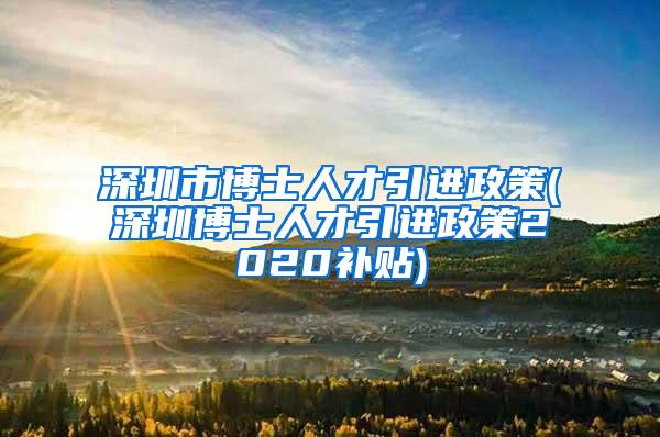 深圳市博士人才引进政策(深圳博士人才引进政策2020补贴)