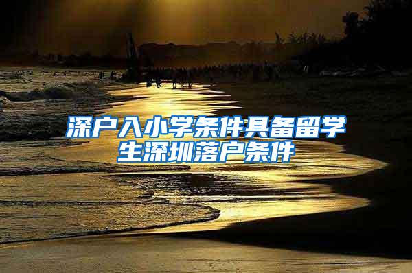 深户入小学条件具备留学生深圳落户条件