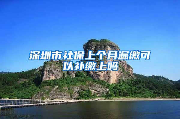 深圳市社保上个月漏缴可以补缴上吗