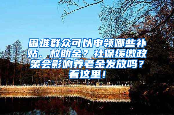 困难群众可以申领哪些补贴、救助金？社保缓缴政策会影响养老金发放吗？看这里！