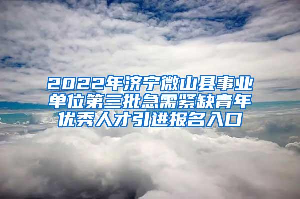 2022年济宁微山县事业单位第三批急需紧缺青年优秀人才引进报名入口