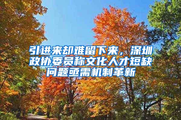 引进来却难留下来，深圳政协委员称文化人才短缺问题亟需机制革新