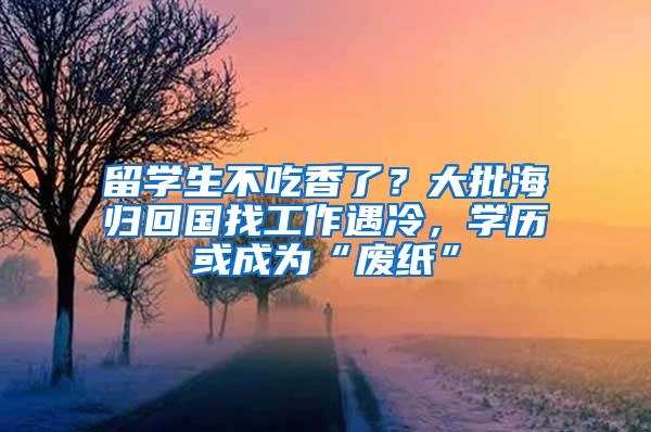 留学生不吃香了？大批海归回国找工作遇冷，学历或成为“废纸”