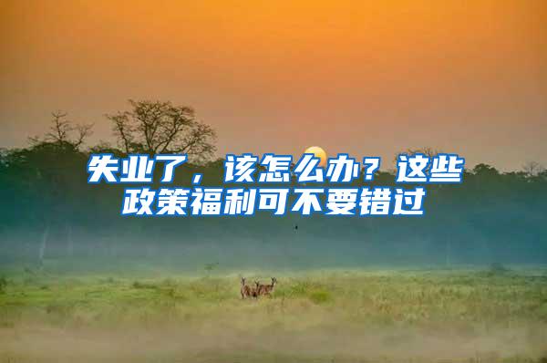 失业了，该怎么办？这些政策福利可不要错过