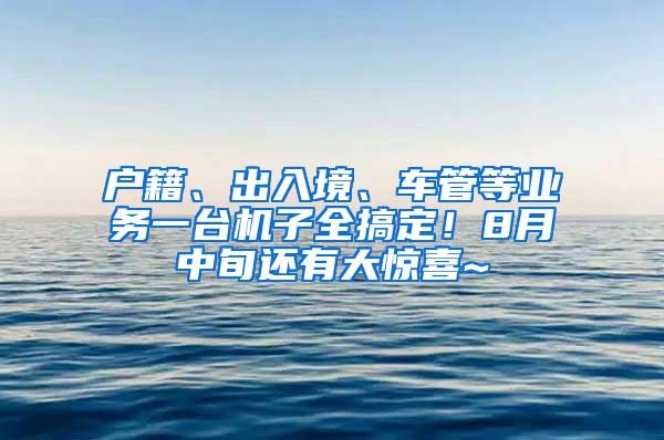 户籍、出入境、车管等业务一台机子全搞定！8月中旬还有大惊喜~