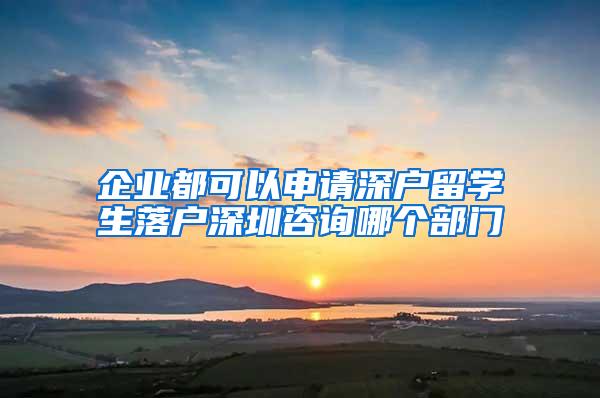 企业都可以申请深户留学生落户深圳咨询哪个部门