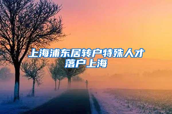 上海浦东居转户特殊人才落户上海