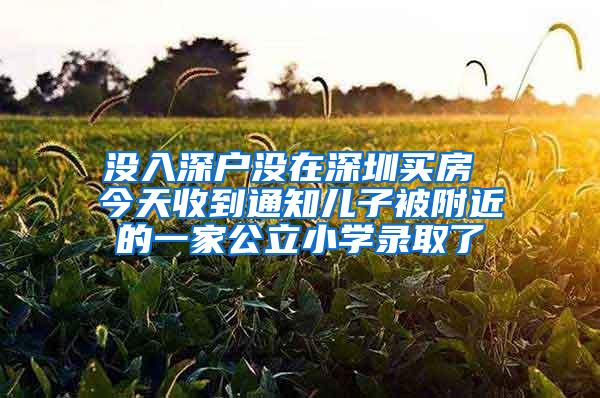 没入深户没在深圳买房 今天收到通知儿子被附近的一家公立小学录取了
