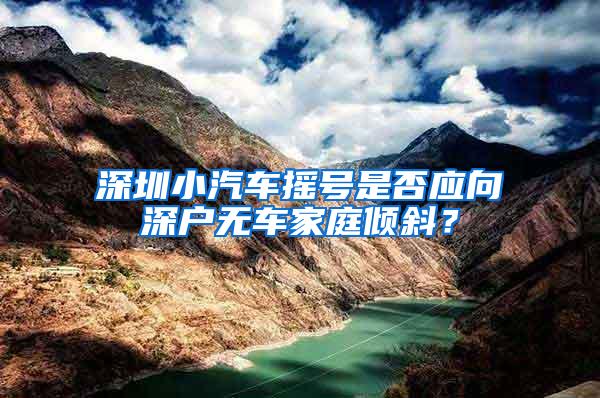 深圳小汽车摇号是否应向深户无车家庭倾斜？
