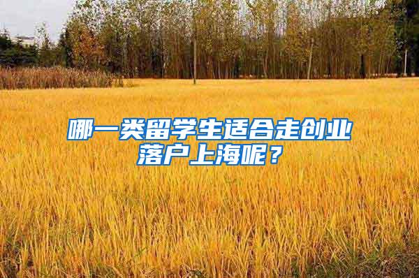 哪一类留学生适合走创业落户上海呢？