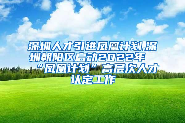 深圳人才引进凤凰计划,深圳朝阳区启动2022年“凤凰计划”高层次人才认定工作