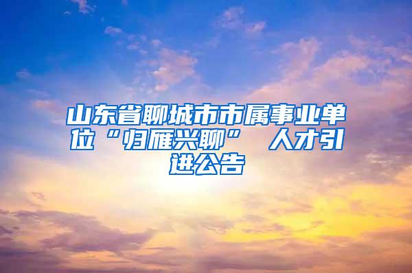 山东省聊城市市属事业单位“归雁兴聊” 人才引进公告