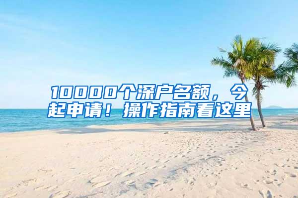 10000个深户名额，今起申请！操作指南看这里